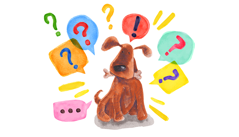 Curiosita sui cani pensate di sapere tutto sul mondo canino PRINCIPALE